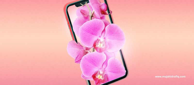 How to Advertise a Product in TikTok? (2024 Guide)
