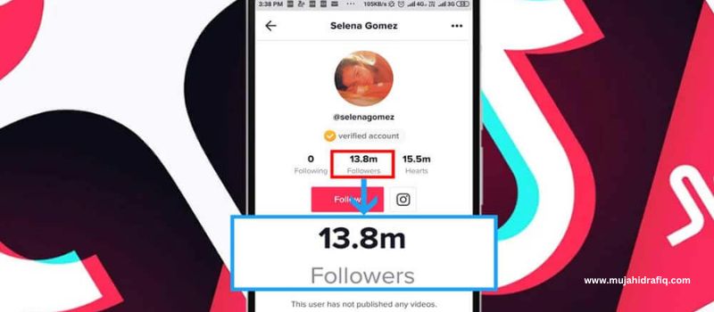 Which one is more important on TikTok, view or follower?